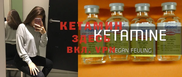 трава Коряжма