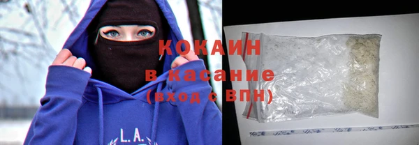трава Коряжма