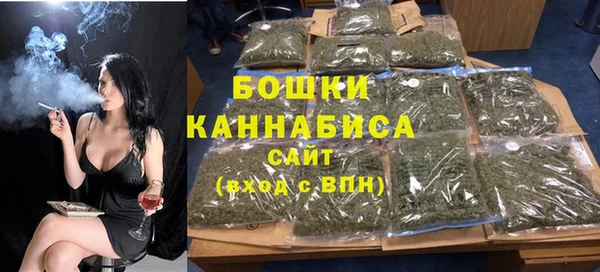 трава Коряжма