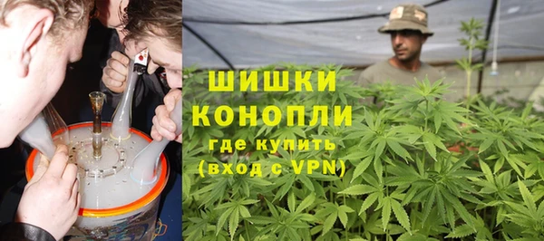 трава Коряжма