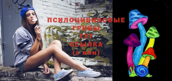 трава Коряжма