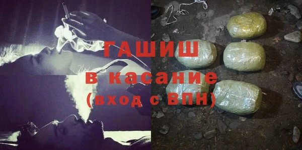 трава Коряжма