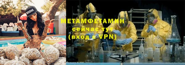 трава Коряжма