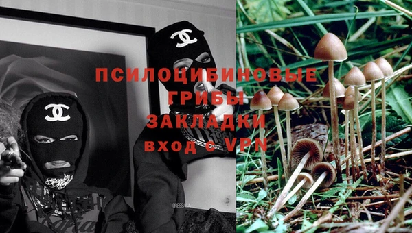 бошки Корсаков