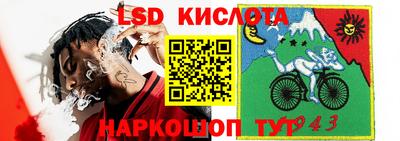 тгк Берёзовский