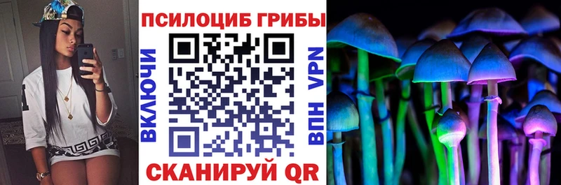 Псилоцибиновые грибы MAGIC MUSHROOMS  купить наркотик  Дербент 