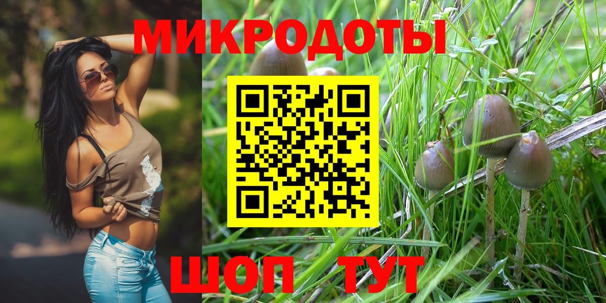 Дербент  Псилоцибиновые грибы Psilocybe  Вход с VPN 